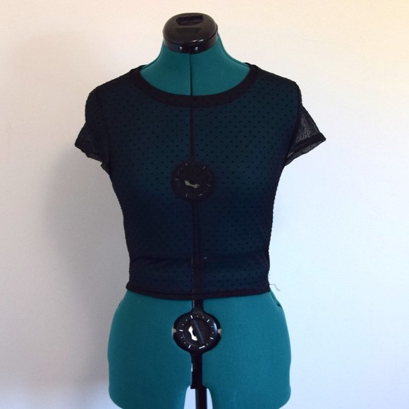 Black Swiss Dot Mesh Sheer Crop Top Baby Tee - Picture 1 of 7
